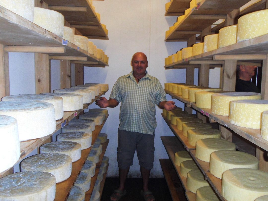 Monkland Cheese Dairy景点图片