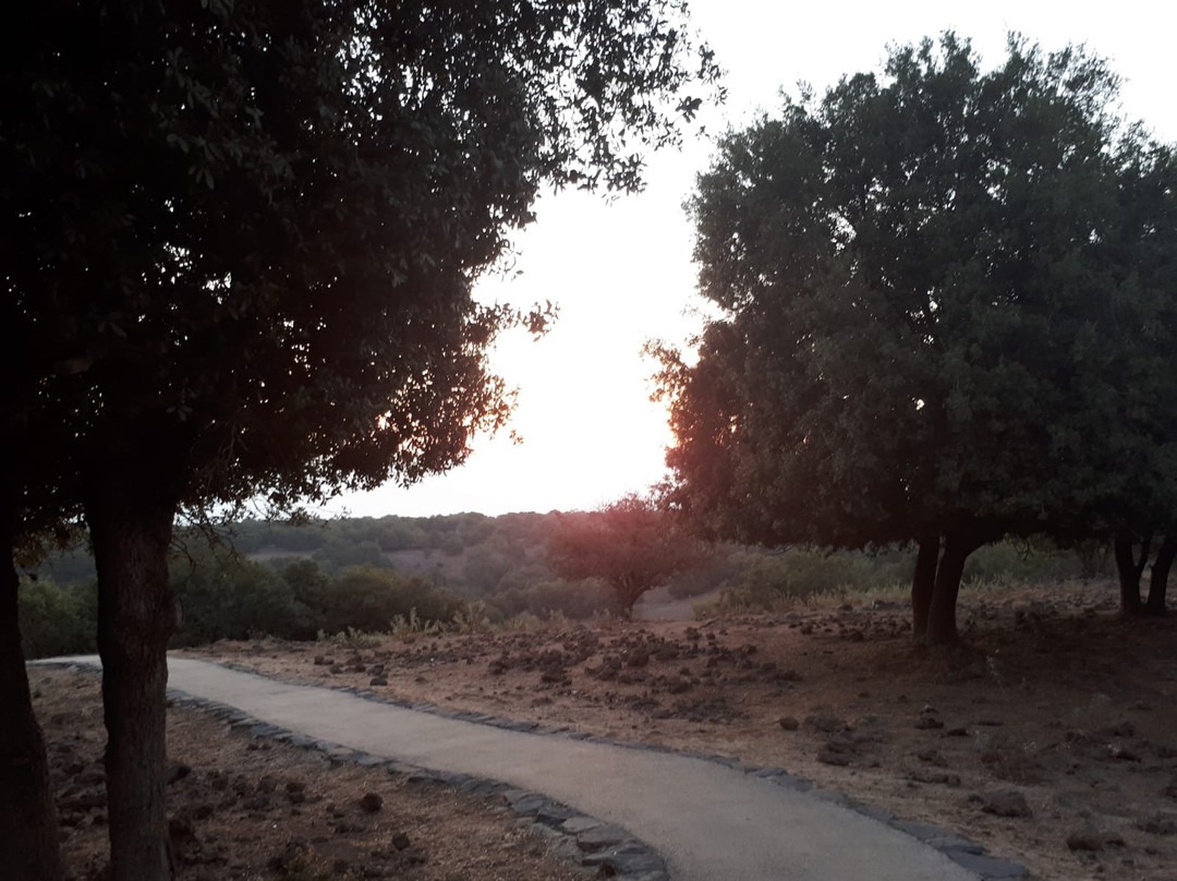 BeShvil HaYaar-Merom Golan必去景点