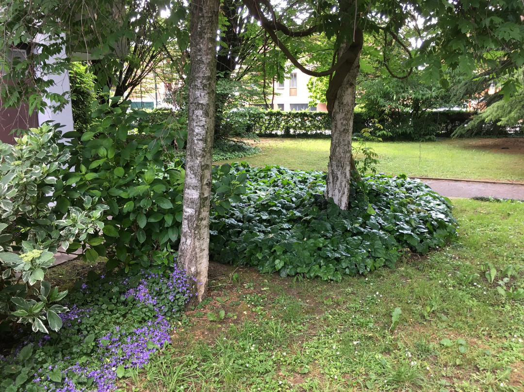 Bed and Breakfast Bio Salix主图