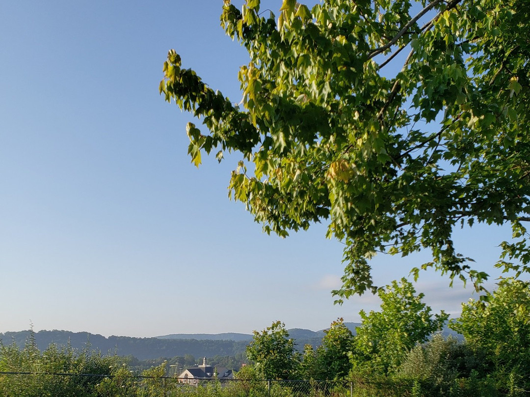 Comfort Inn & Suites主图