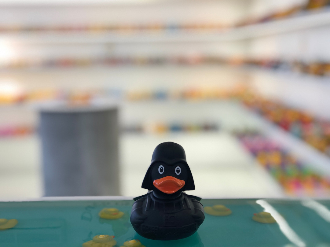 Limassol Duck Store-利马索尔必去景点