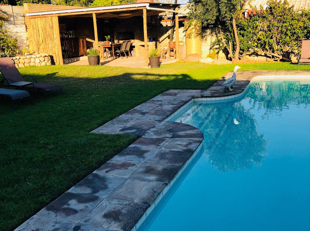 African Tulip Guesthouse主图