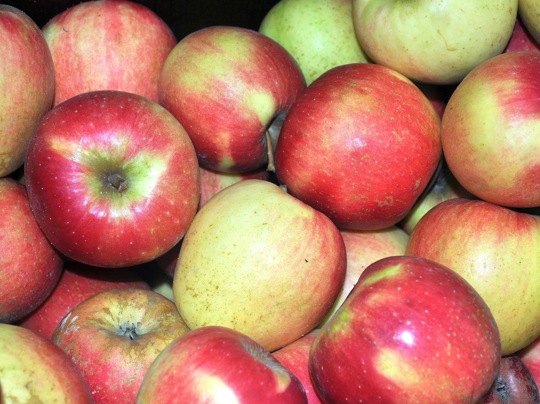 Pearce's Farm Stand-Walworth必去景点