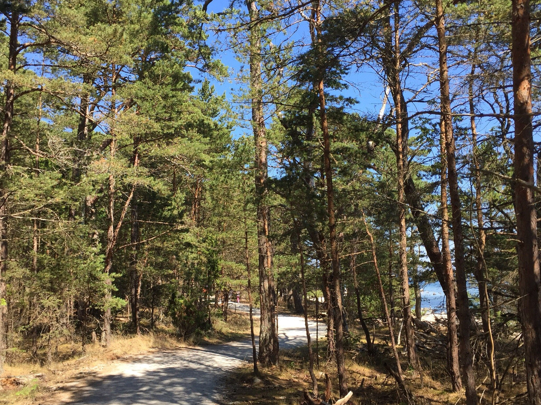Neptuni Camping