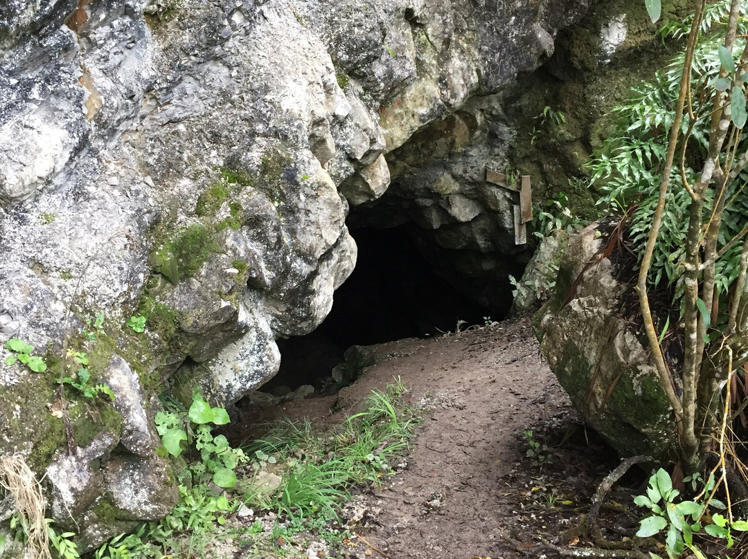 Cobden Cave景点图片