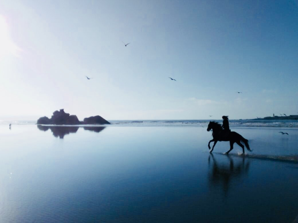 Cheval Essaouira-索维拉必去景点