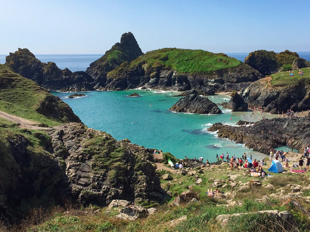 Lizard Point