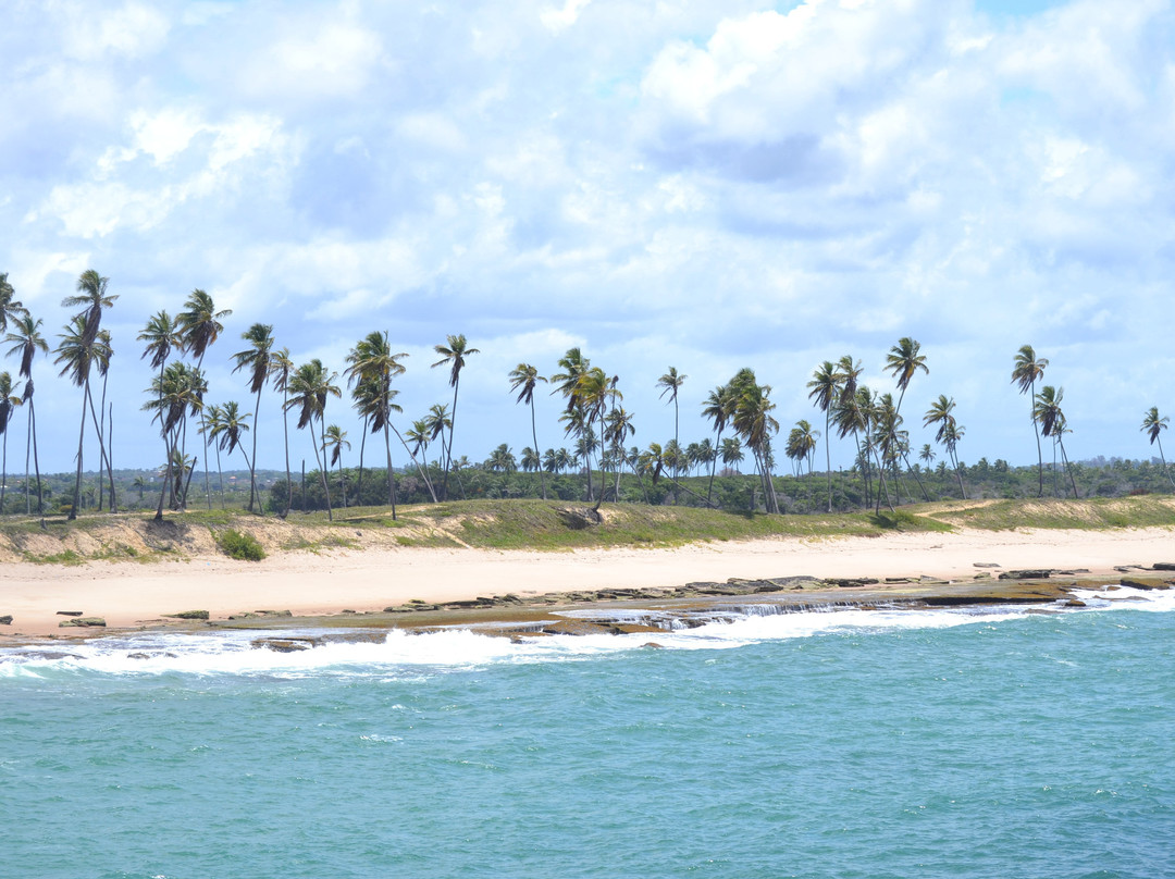 MM Brasil Private Tours-Camacari必去景点