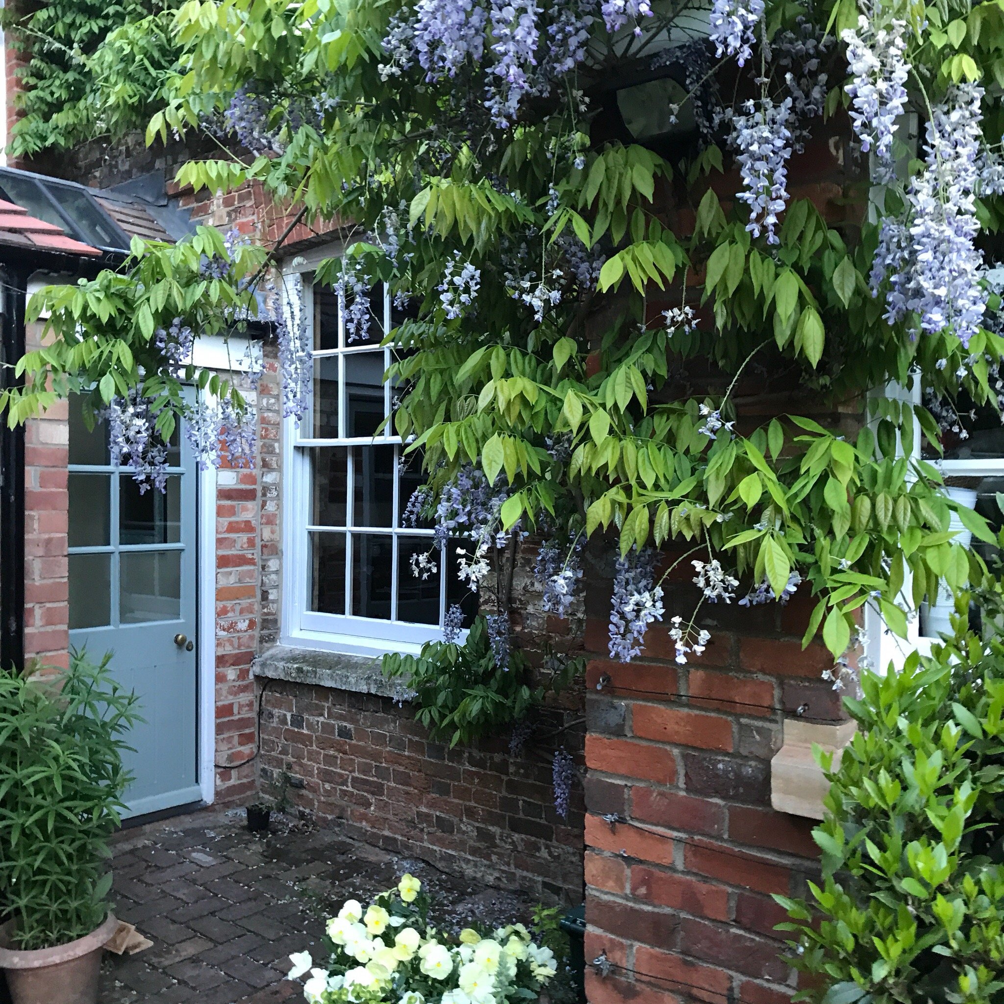 S. Howard Bed and Breakfast-餐饮
