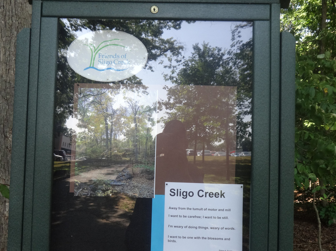 Sligo Creek Park景点图片