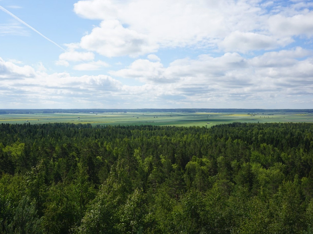 Ojberget