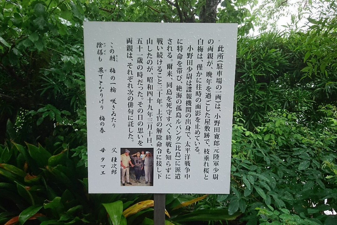 Ugabe Shrine-海南市必去景点