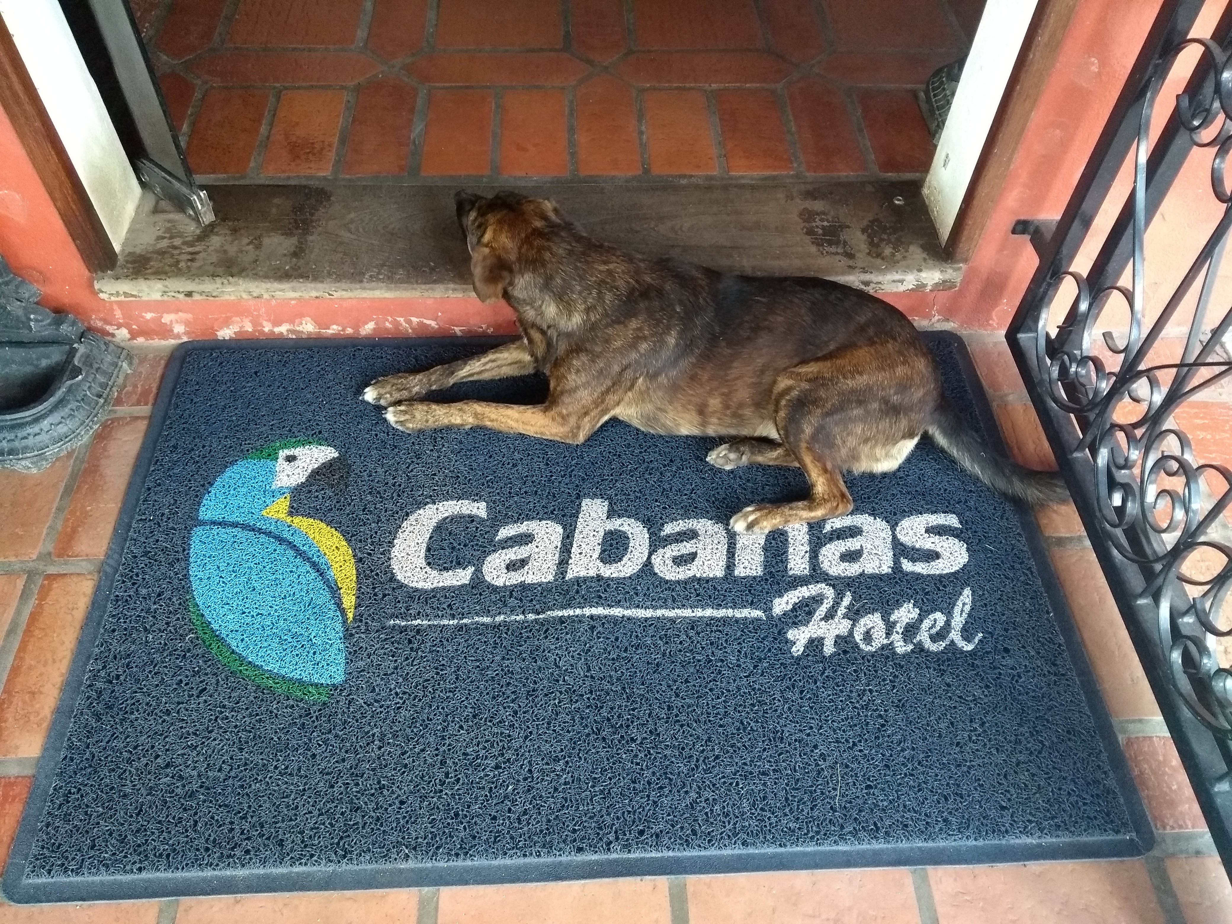 Cabanas Termas Hotel-浴室