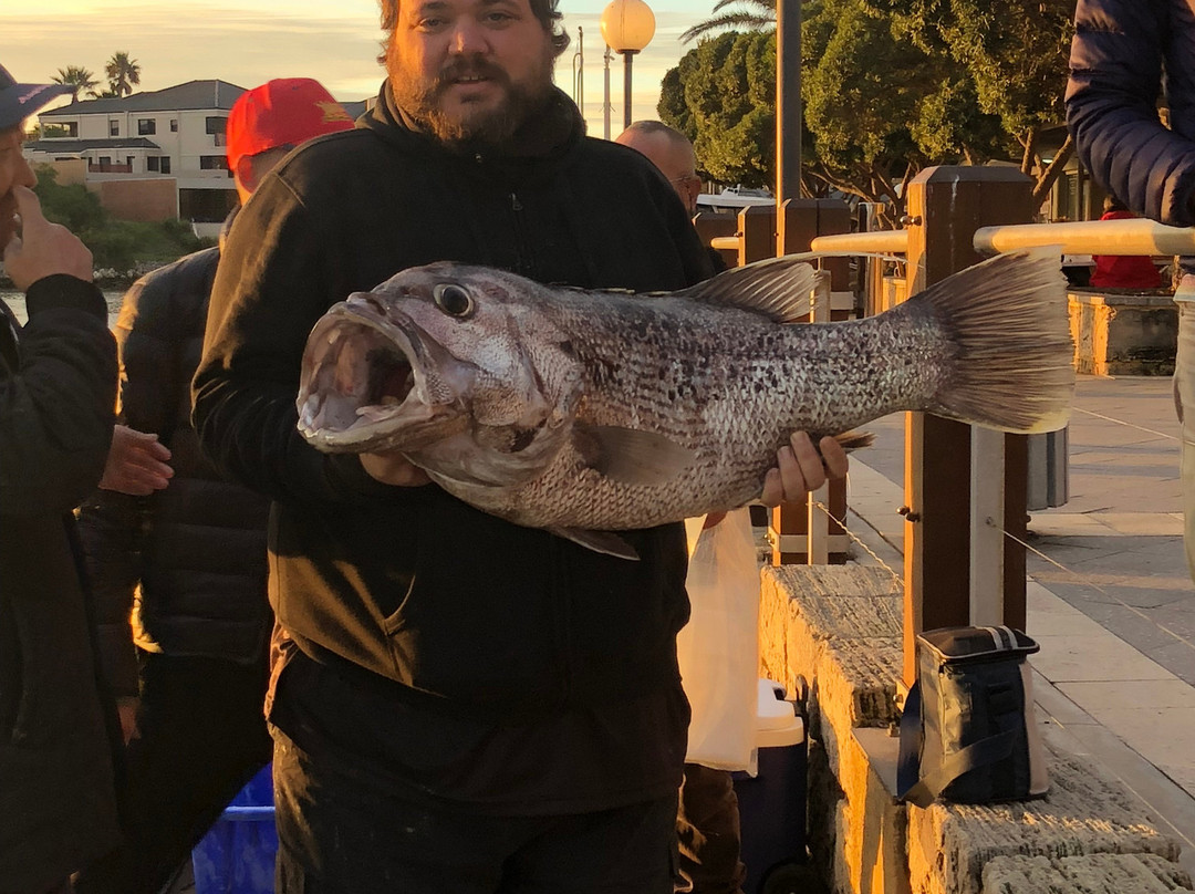 Mindarie Fishing Charters景点图片