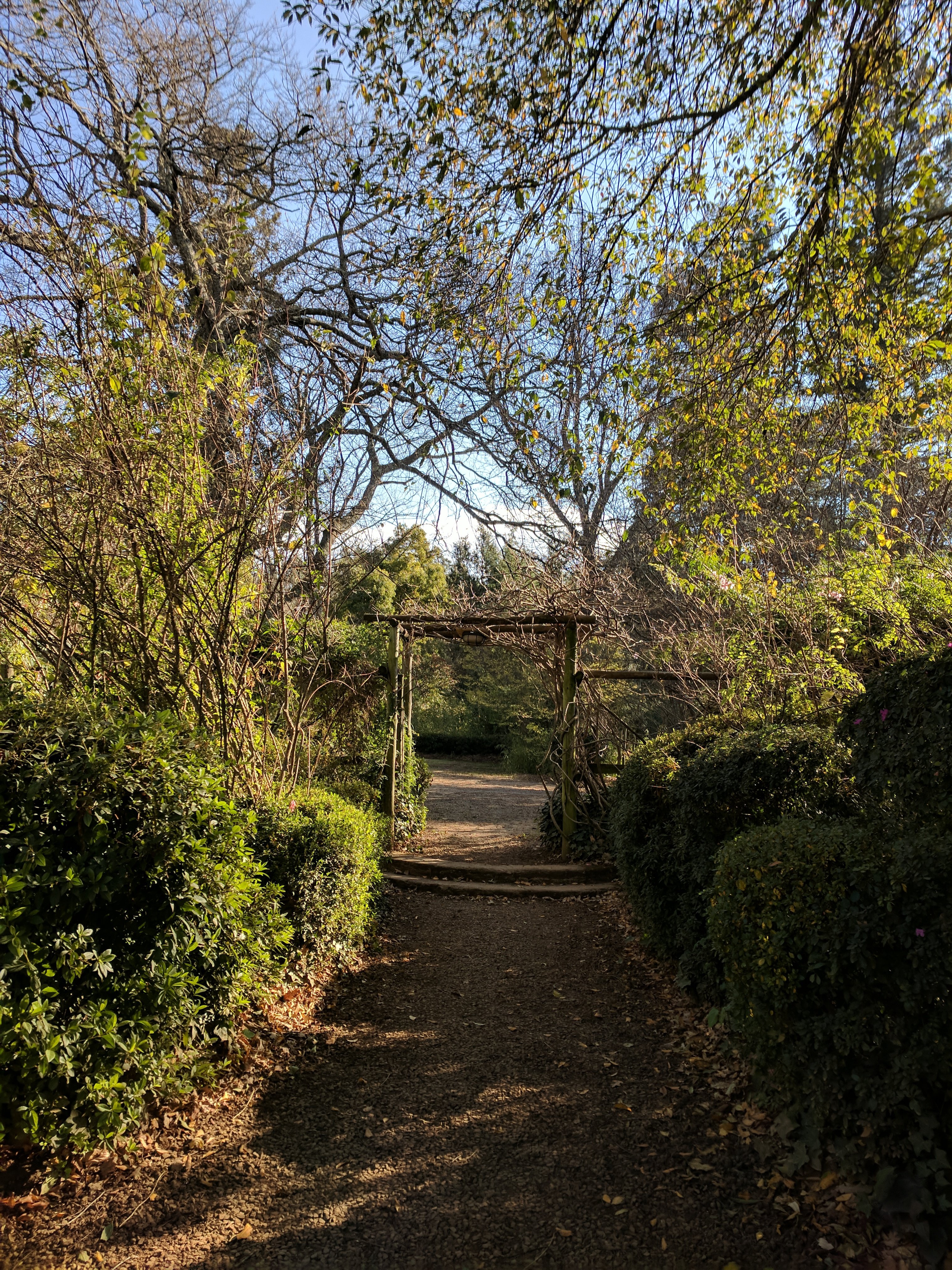 Nutwoods Park-酒店景观