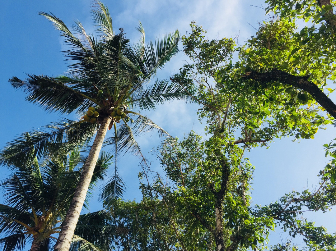 Hula Hula Beachfront Phu Quoc主图