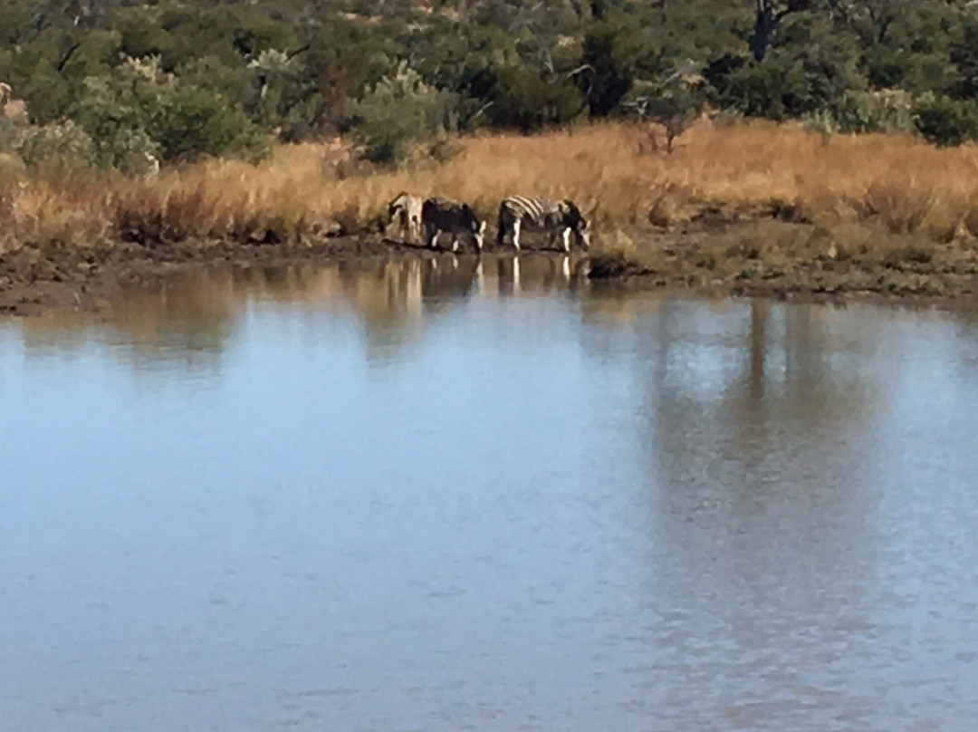 Bhubeza Safaris-匹兰斯堡国家公园必去景点