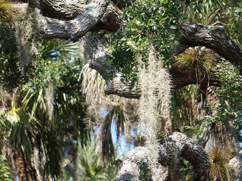 Palm Bay Marina-Palm Bay必去景点