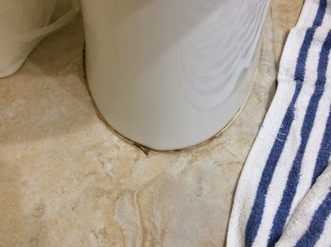 Palm Tree Villas主图