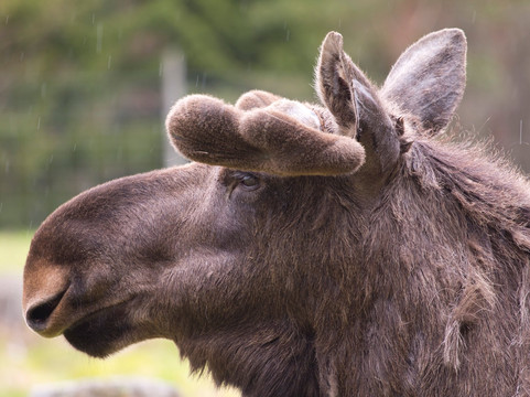Torsas Turistbyra-Bergkvara必去景点