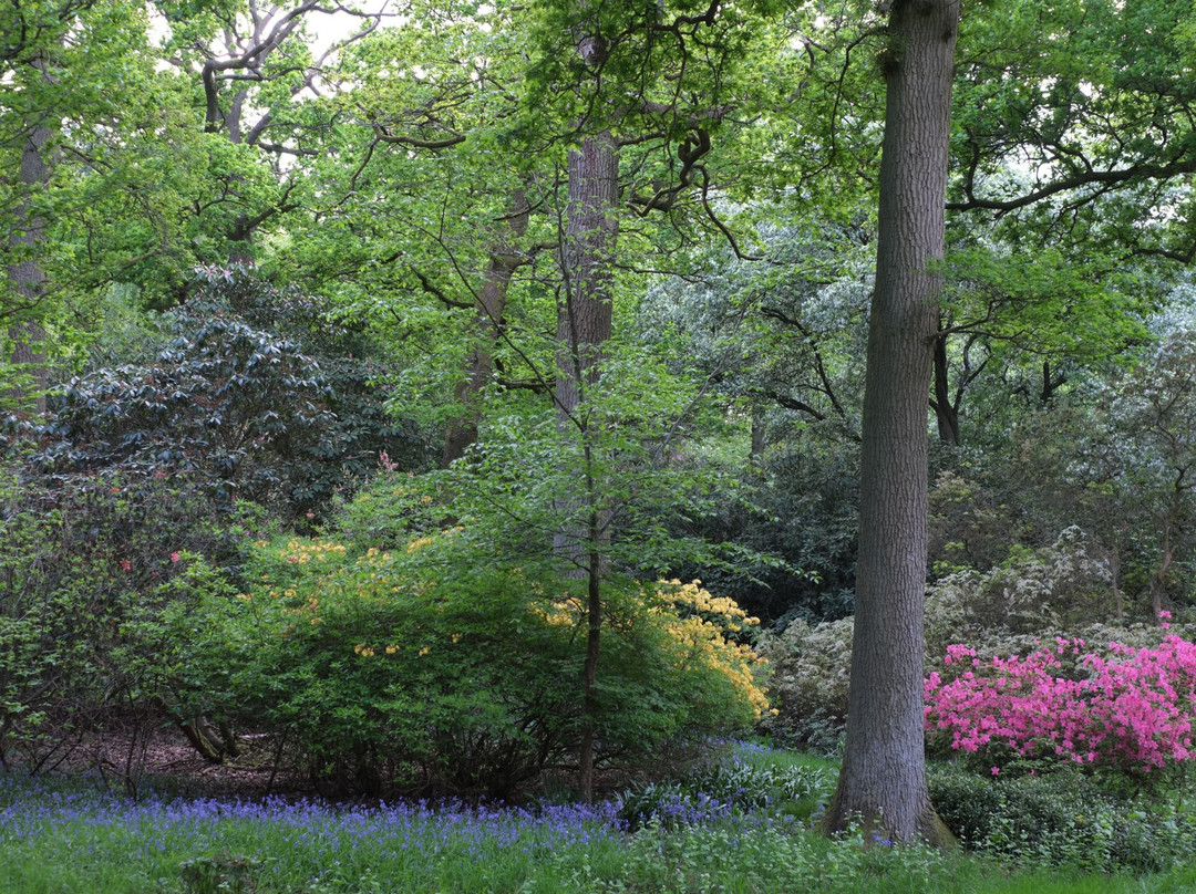 St. Paul's Walden Bury景点图片
