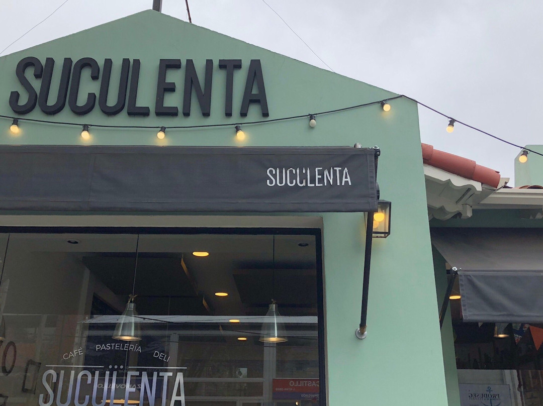 Suculenta
