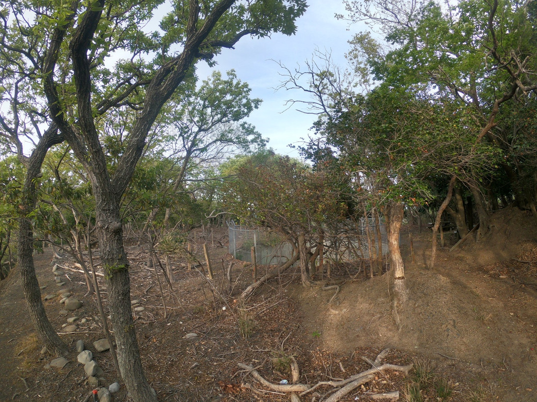 Toyo Battery Trace-对马市必去景点