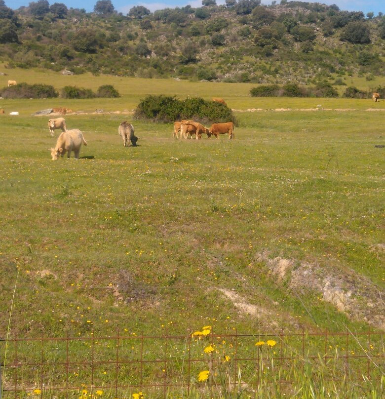Hotel Rural Hacienda Arroyo La Plata by Bossh Hotels主图