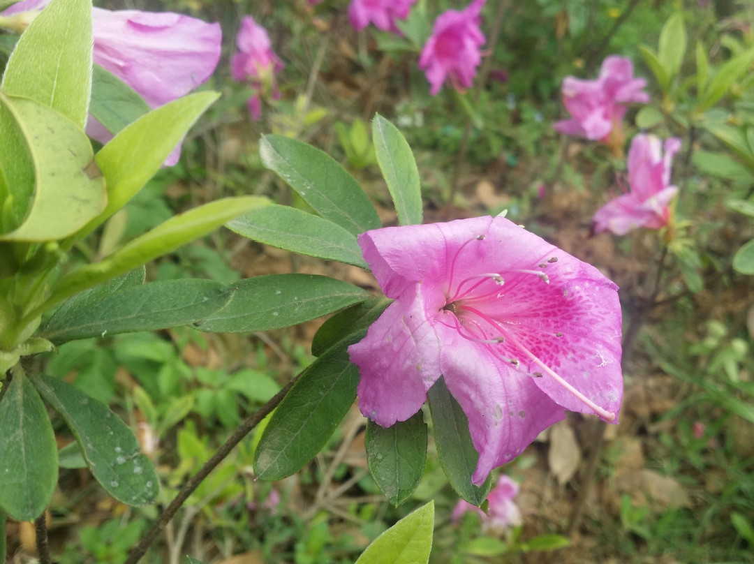 天生桥-溧水县必去景点