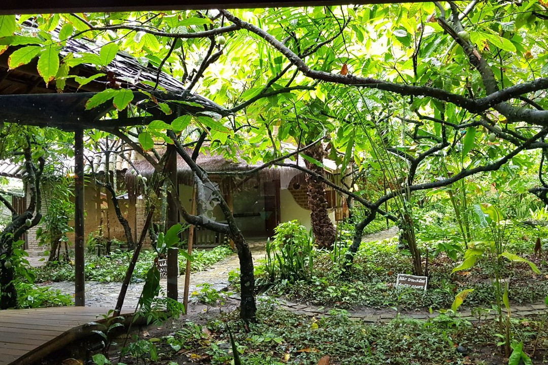 Pousada Fruta Pao主图