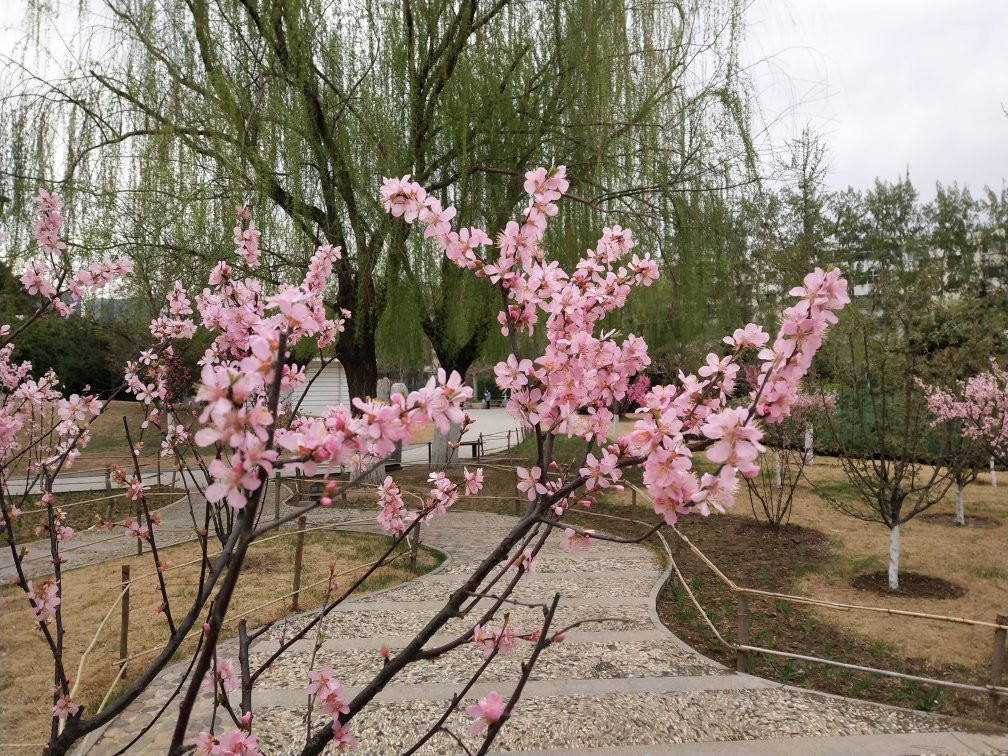 廊坊世纪广场-廊坊市必去景点