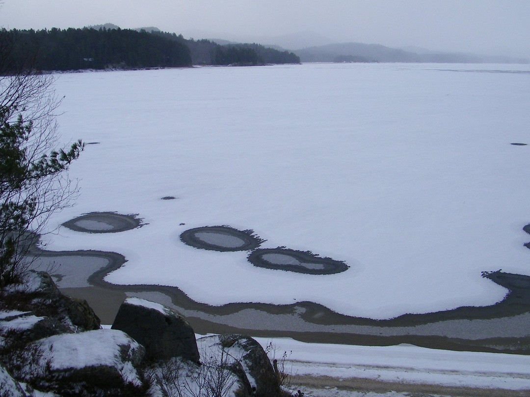 Camp Driftwood主图