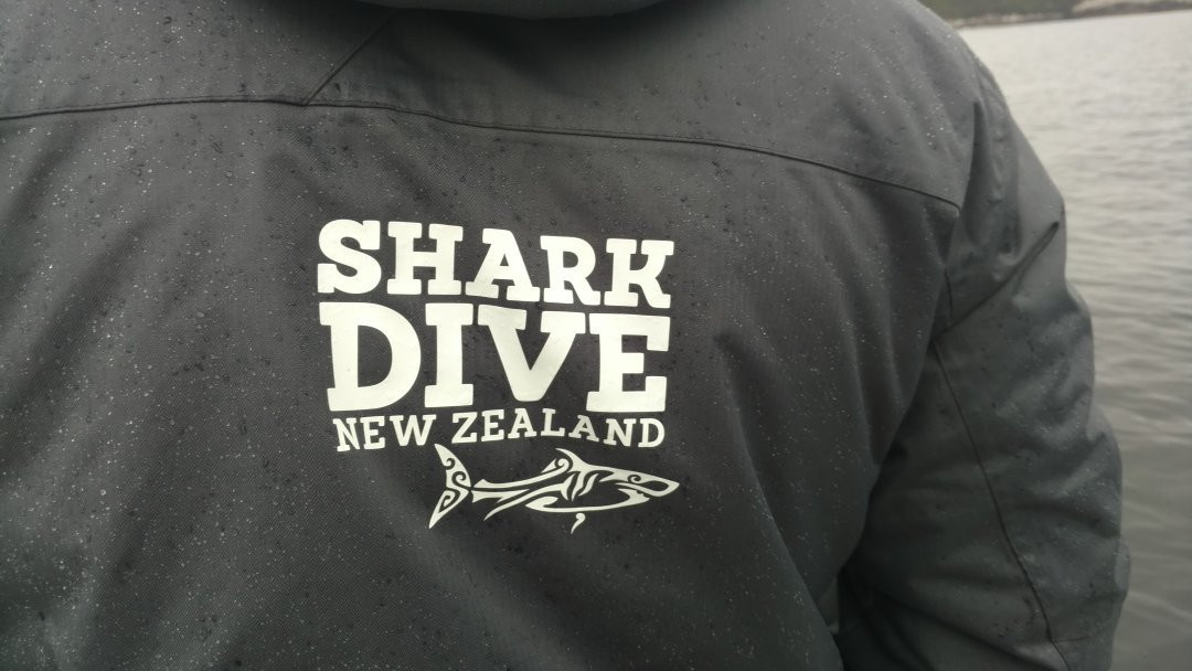 Shark Dive New Zealand-布拉夫必去景点