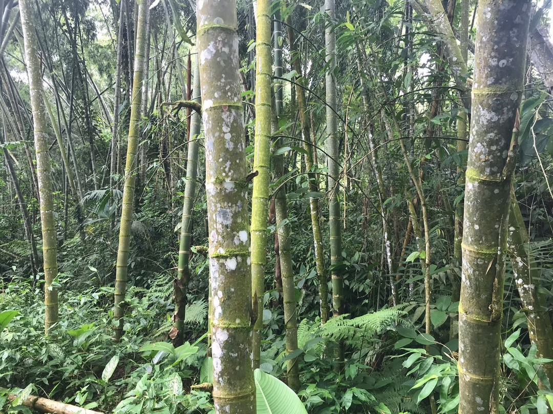 Hotel El Descanso del Duque主图