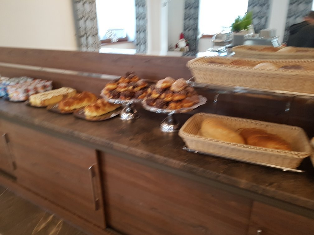 Borowy Dwor - Business, Spa & Fun主图