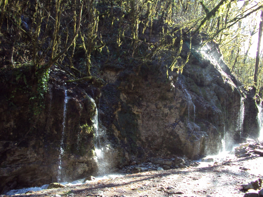 Weeping Rocks Waterfall景点图片