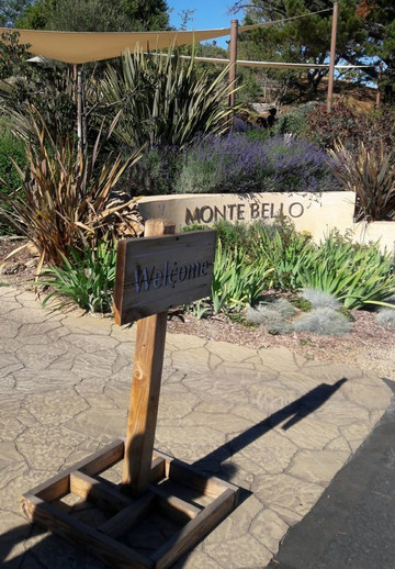 Ridge Vineyards-库柏蒂诺必去景点