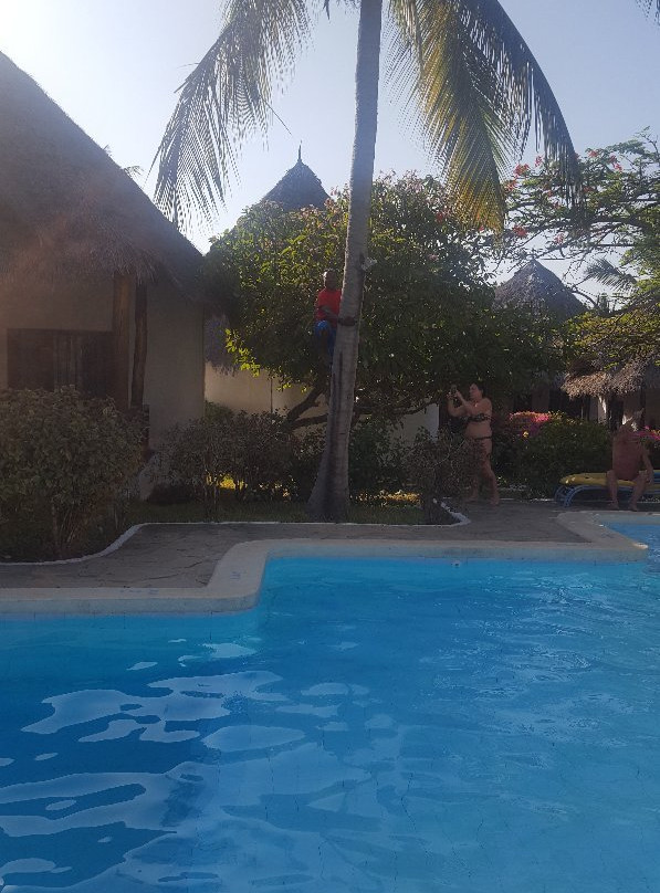 Dorado Cottage主图