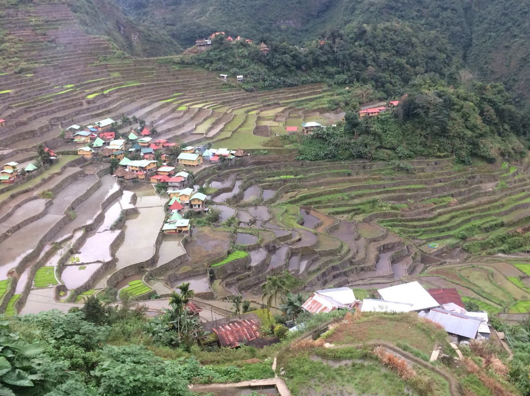 Batad旅游攻略图片