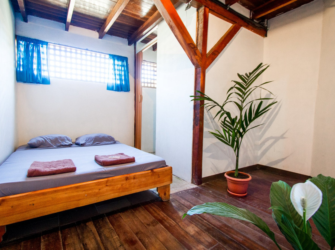 The Lion Fish Hostel