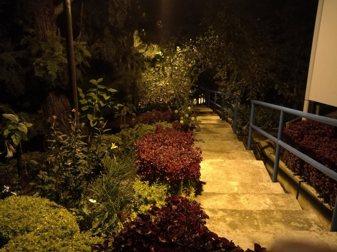 Philip Garden Chalets主图