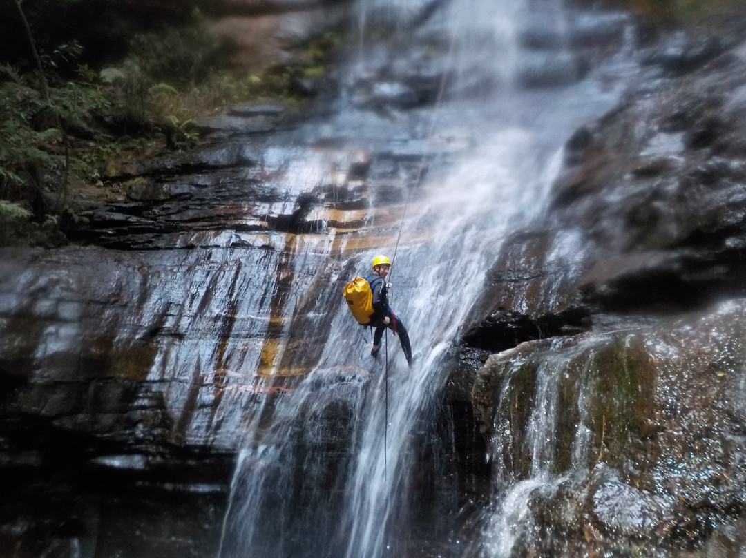High and Wild Australian Adventures-卡通巴必去景点