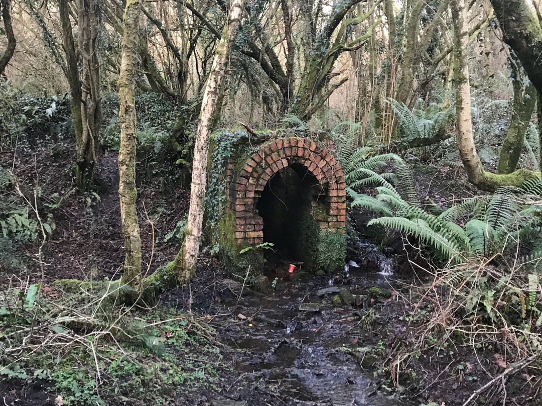 Brynna Woods and Llanharan Marsh Nature Reserve景点图片