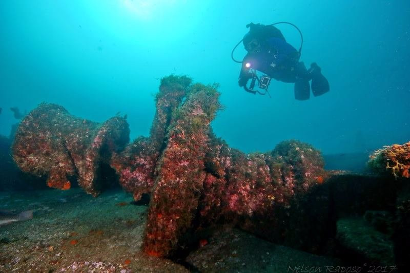 Azores Low Dive