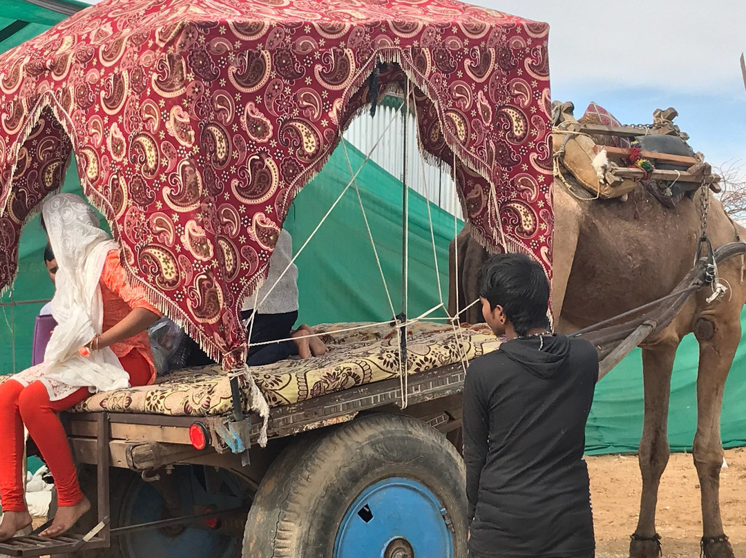 Pushkar Desert Safari景点图片