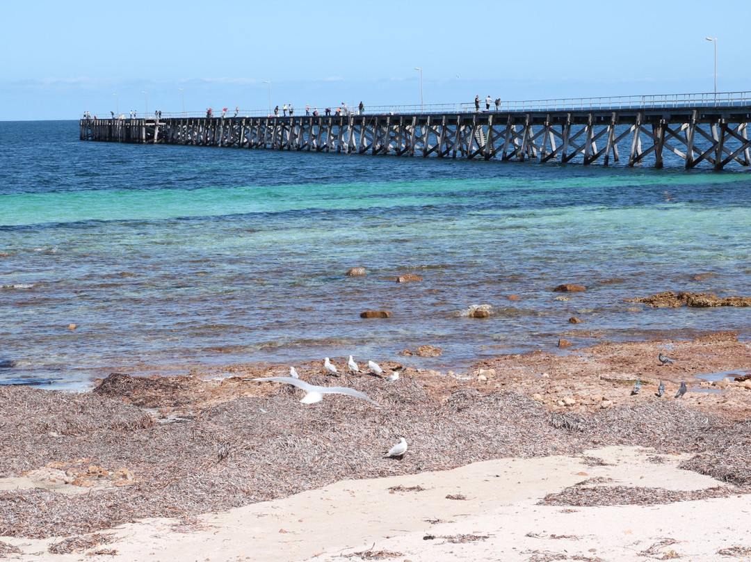 Port Hughes Jetty景点图片