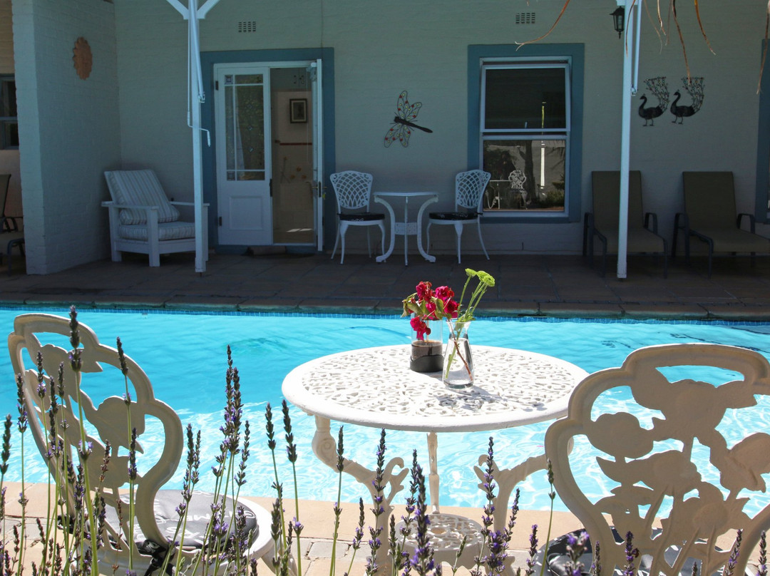 Bergvliet酒店住宿-Paradiso Guesthouse & Self Catering Cottage