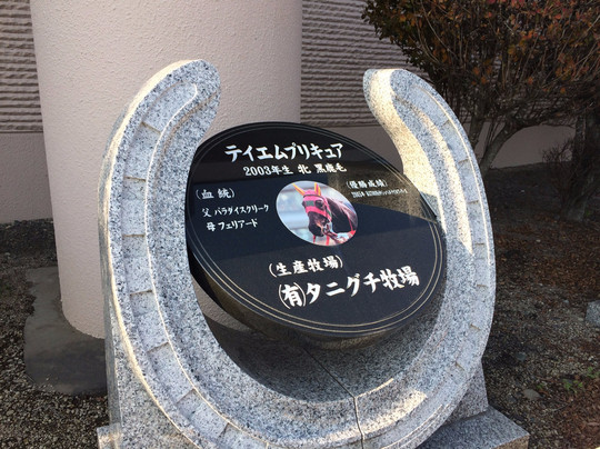 Michi-no-Eki Thoroughbred Road Niikappu-新冠町必去景点