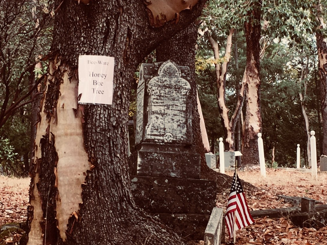 Jacksonville Cemetery-Jacksonville必去景点