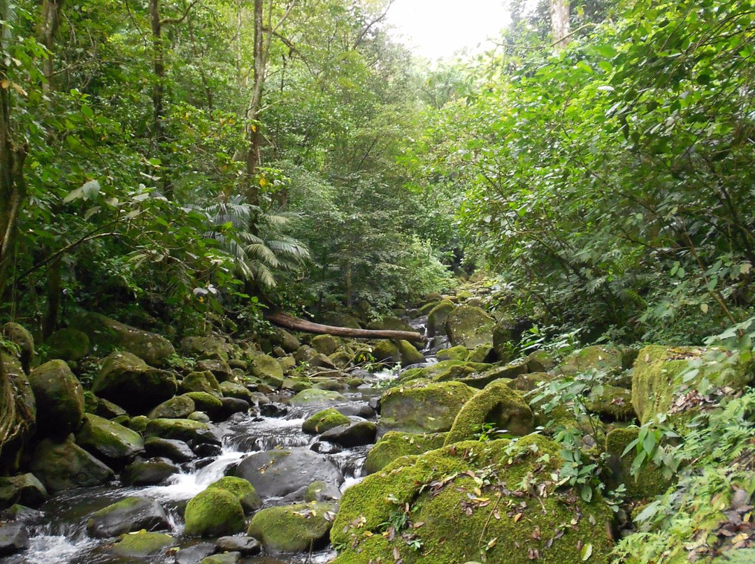 Reserva Ecologica Benito Juarez景点图片